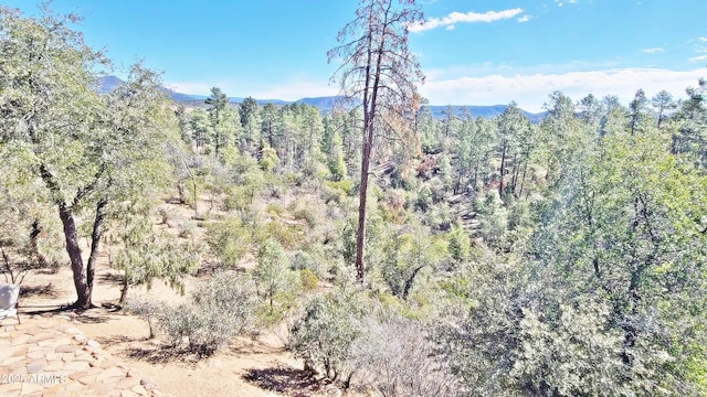 property view of mountains with a forest view