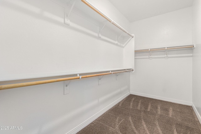 walk in closet featuring dark colored carpet