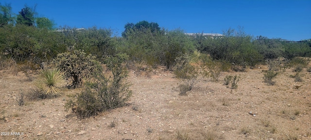 Listing photo 2 for TBD N Saddleback Cir Unit 284, Tombstone AZ 85638