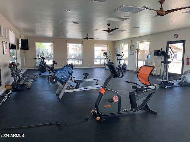 workout area featuring a wealth of natural light and ceiling fan