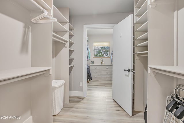 walk in closet with light wood-type flooring