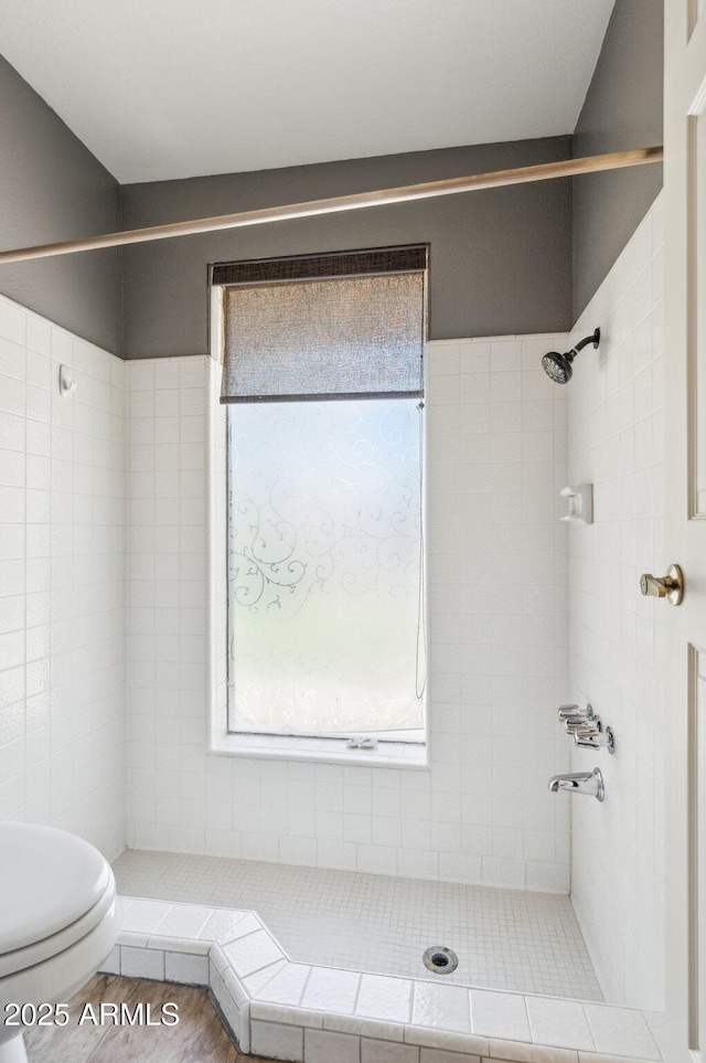 2053 W Natal Cir, Mesa, AZ 85202 - bathroom with tiled shower and toilet