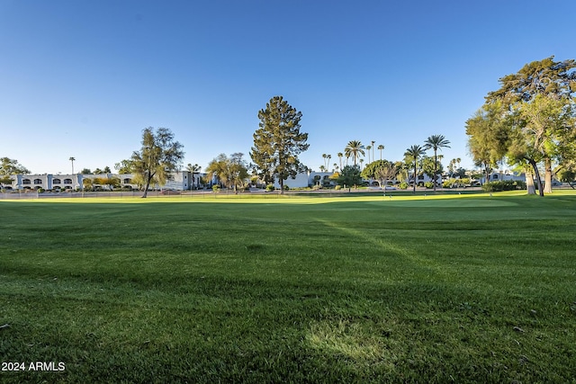 view of community with a lawn