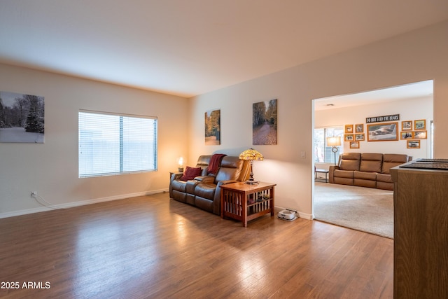 living area featuring baseboards and wood finished floors