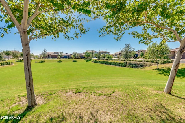 view of property's community featuring a yard