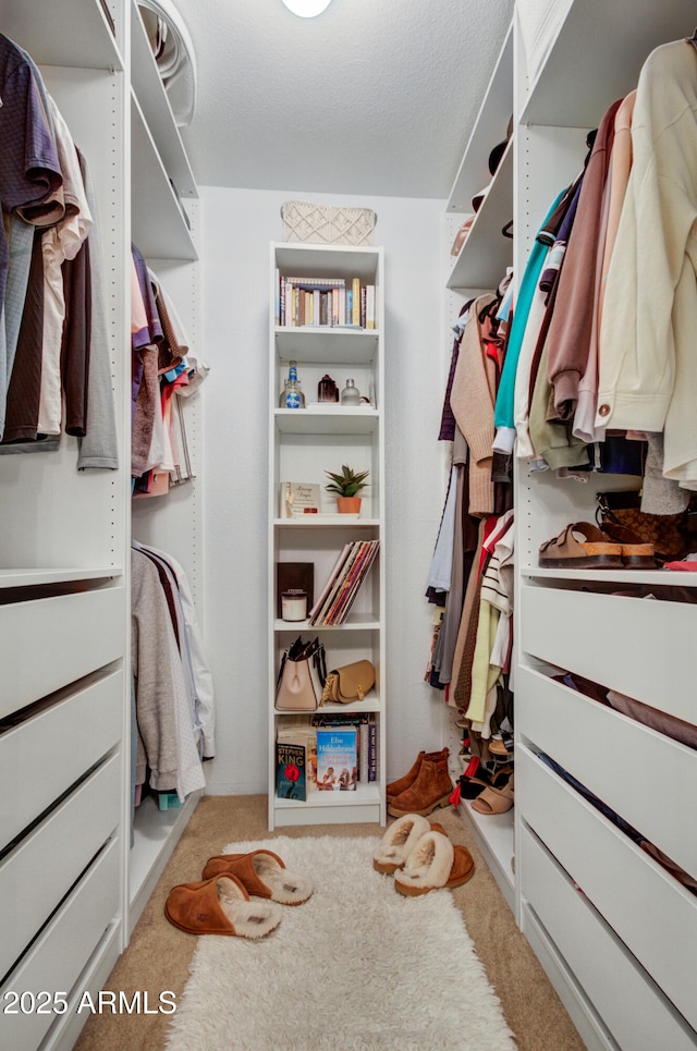 spacious closet featuring light colored carpet