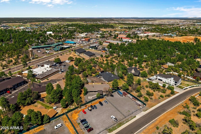 541 W Deuce Of Clubs, Show Low, AZ 85901 - birds eye view of property