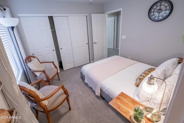 carpeted bedroom featuring a closet