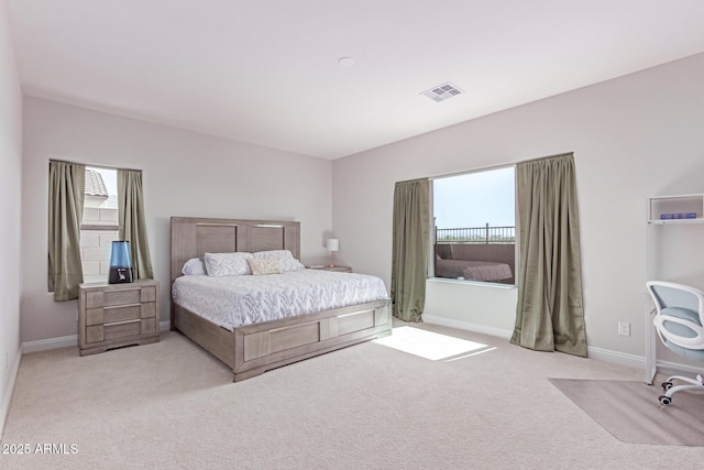 2881 N Riverside Dr, Florence, AZ 85132 - bedroom featuring multiple windows, light carpet, and baseboards