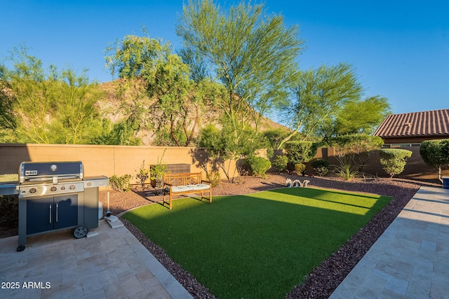 10207 W Hedge Hog Pl, Peoria, AZ 85383 - view of yard with a patio