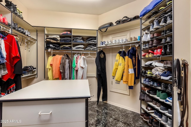 view of spacious closet