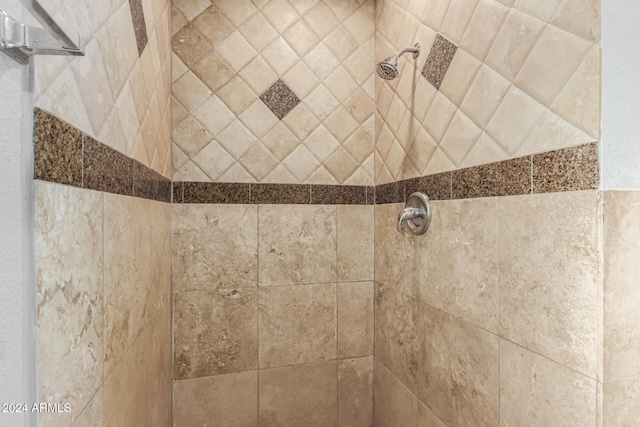 room details featuring tiled shower