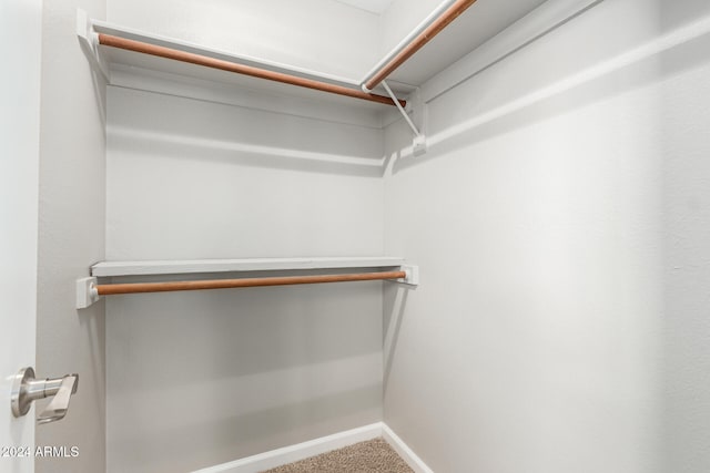 spacious closet featuring carpet