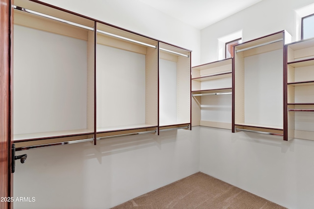 spacious closet with carpet flooring