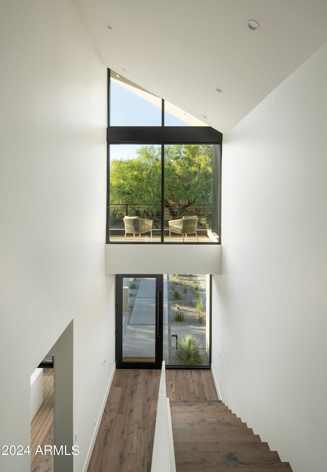 doorway to outside with high vaulted ceiling and wood-type flooring