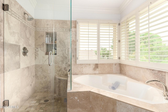 2026 E Cortez Dr, Gilbert, AZ 85234 - bathroom featuring crown molding, a bath, and a stall shower