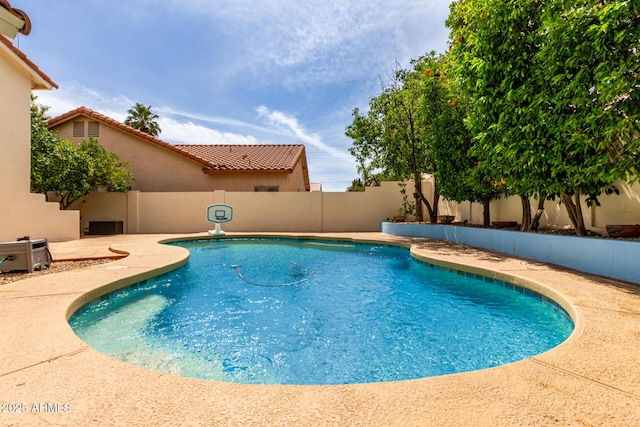 2026 E Cortez Dr, Gilbert, AZ 85234 - view of pool featuring a fenced backyard