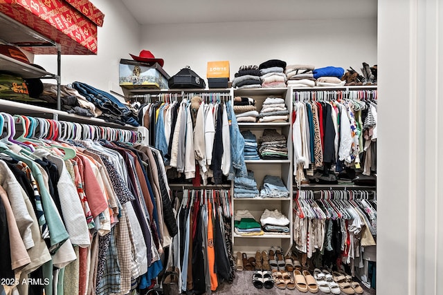 view of spacious closet