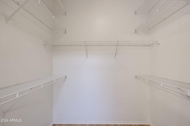 spacious closet featuring wood-type flooring