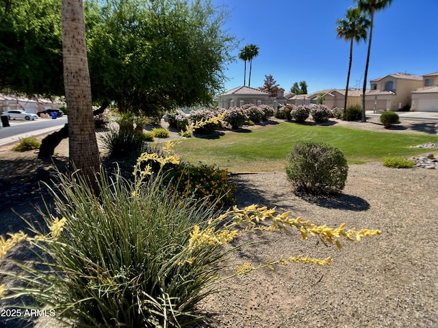 4925 W Bluefield Ave, Glendale, AZ 85308 - view of green lawn featuring a residential view