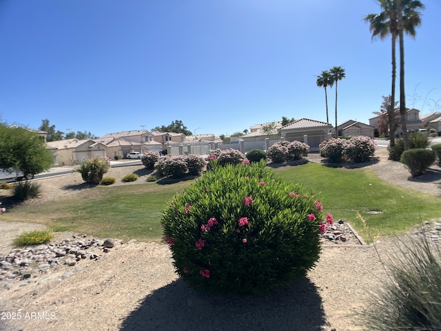 4925 W Bluefield Ave, Glendale, AZ 85308 - view of yard with a residential view