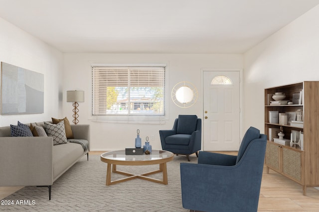 living room featuring light wood-type flooring