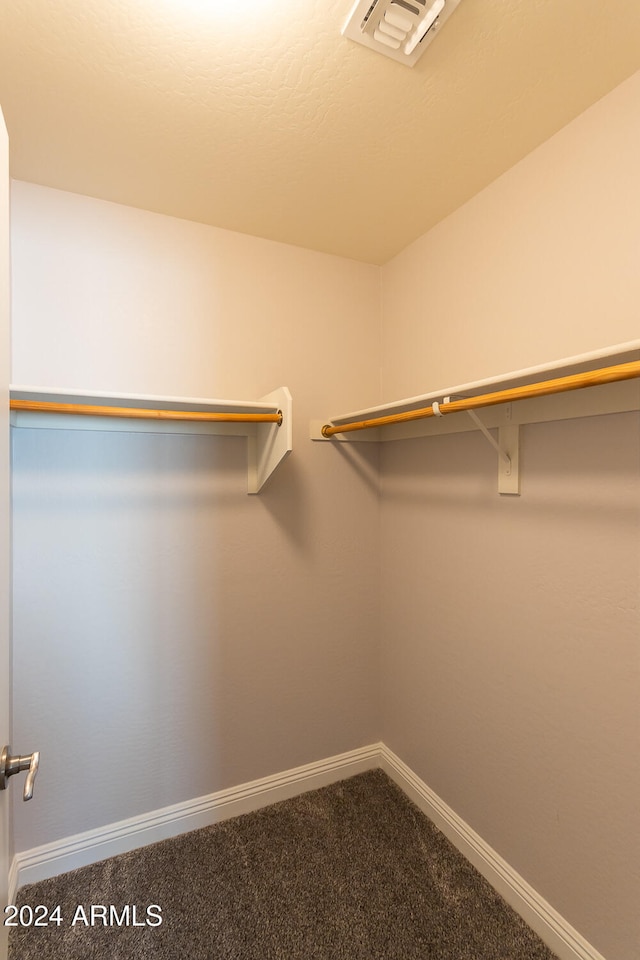 spacious closet featuring carpet