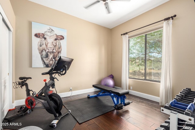 workout area with baseboards, a ceiling fan, and wood finished floors