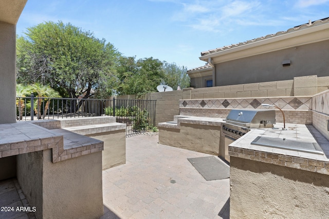 view of patio / terrace with area for grilling and grilling area