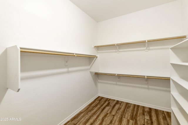 walk in closet featuring wood finished floors