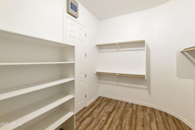 walk in closet with wood finished floors