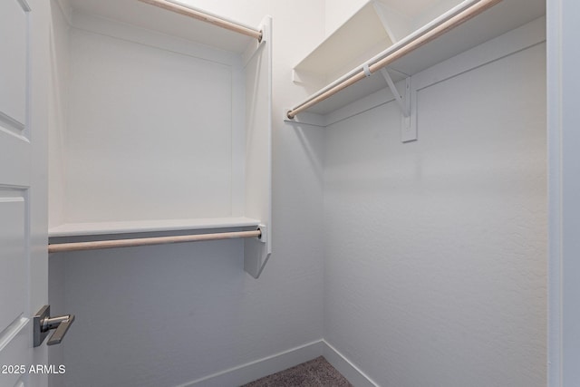 spacious closet featuring carpet floors