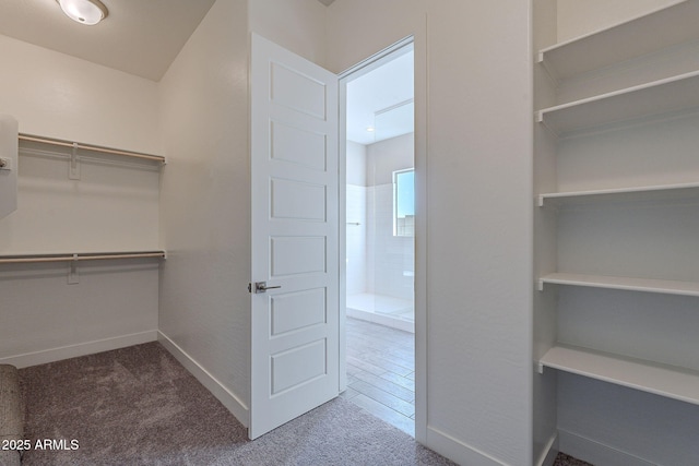 walk in closet with carpet floors