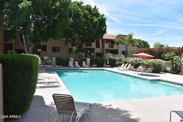 view of swimming pool with a patio