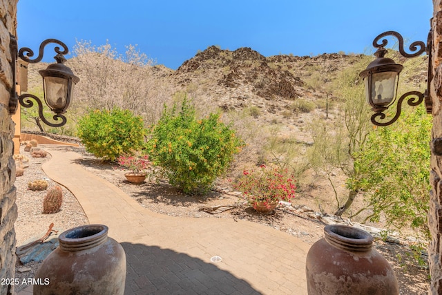 11550 E Paradise Ln, Scottsdale, AZ 85255 - view of mountain background