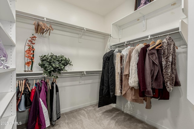 20784 W Minnezona Ave, Buckeye, AZ 85396 - spacious closet featuring carpet
