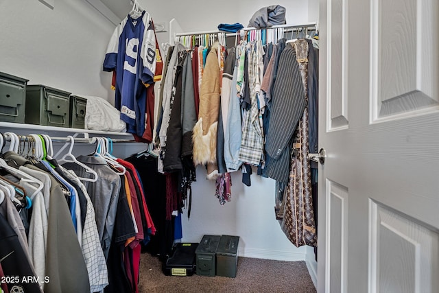 spacious closet with carpet flooring