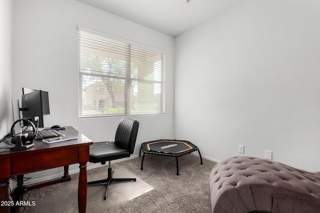 home office with carpet and baseboards