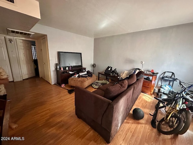 living room featuring wood-type flooring