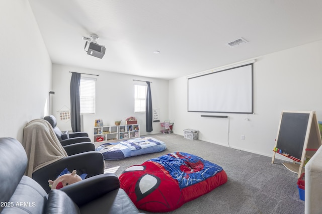 home theater with carpet floors