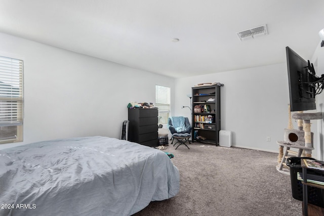 bedroom with carpet flooring