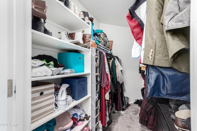 walk in closet featuring carpet