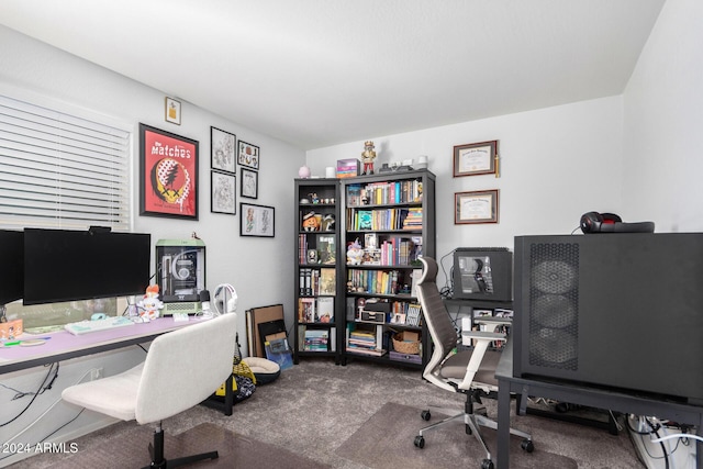 view of carpeted home office