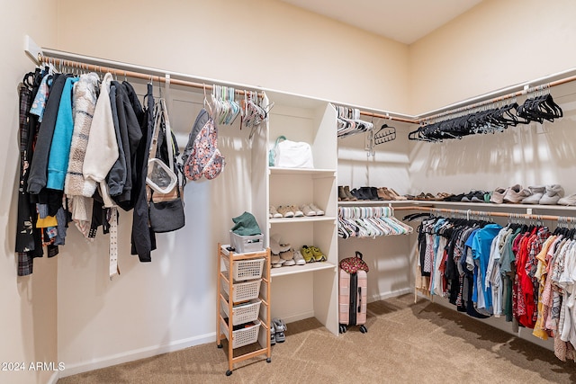 walk in closet featuring carpet floors