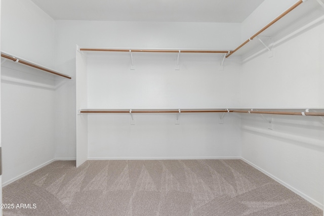 spacious closet featuring light carpet