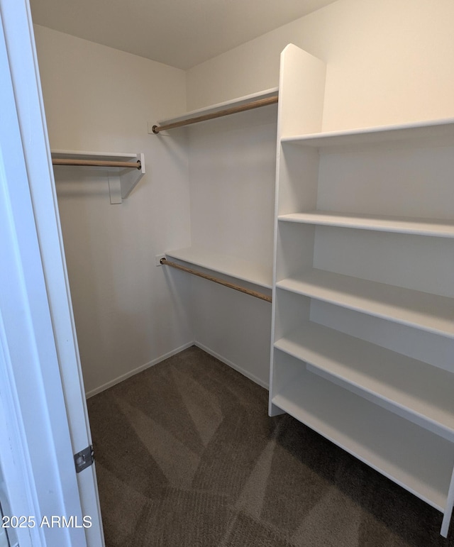 15446 W Jenan Dr, Surprise, AZ 85379 - walk in closet featuring carpet flooring