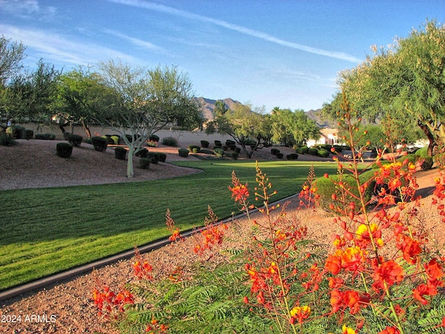 view of property's community with a mountain view and a yard