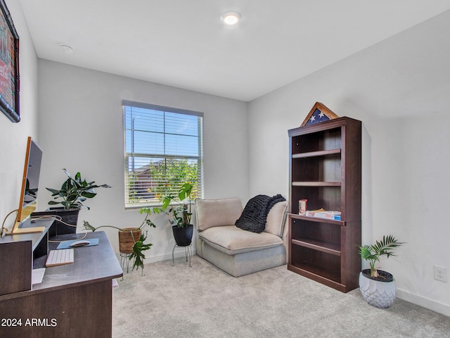 carpeted office space featuring baseboards