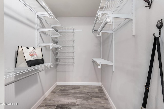 walk in closet featuring wood finished floors