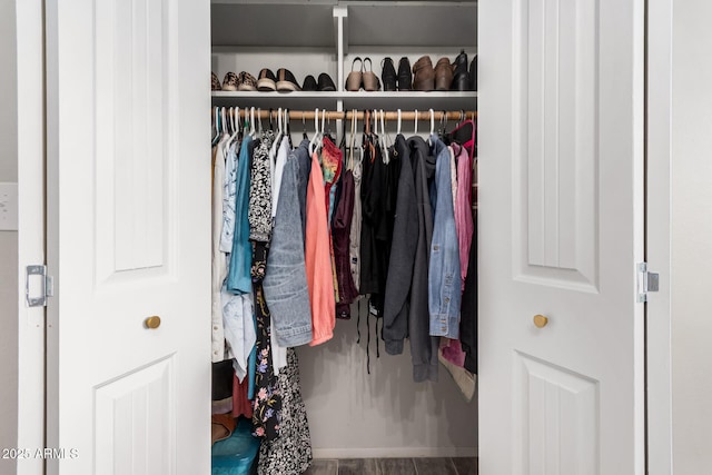 view of closet